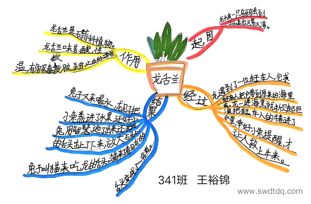 《中国民间故事》之《龙舌兰》事思维导图