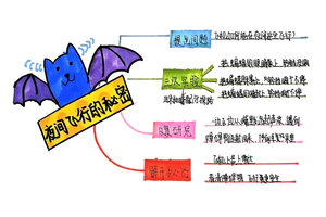 四年级语文课文《夜间飞行的秘密》知识梳理思维导图