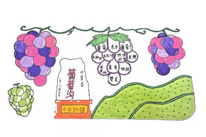 二年级语文课文《葡萄沟》思维导图2张