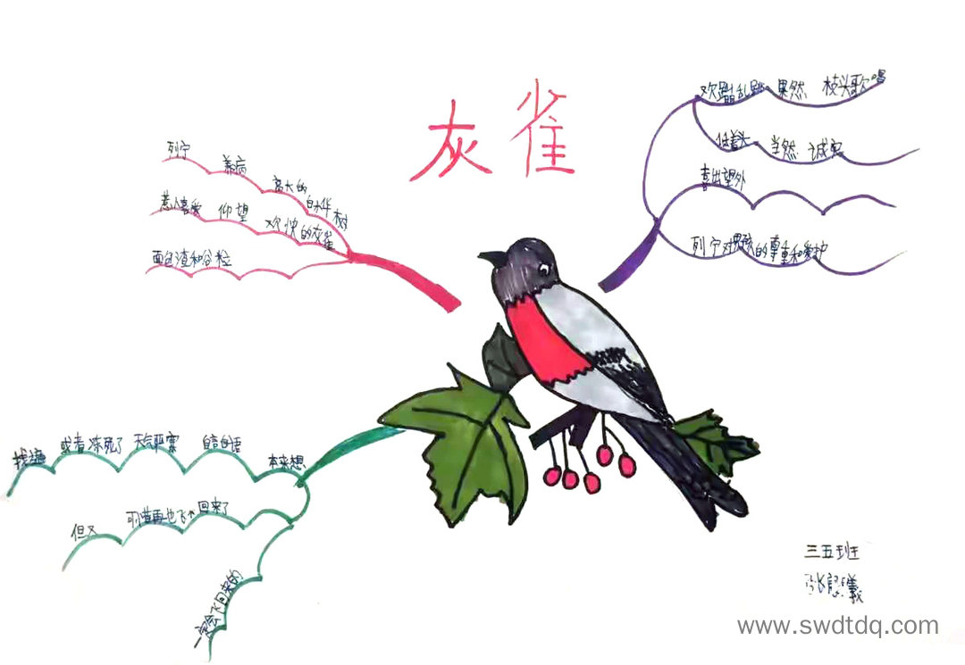 四年级上册语文《麻雀》思维导图精选-第1张