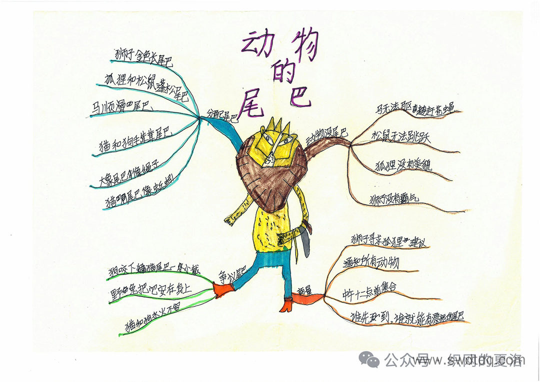 《老人的智慧之<动物的尾巴>》思维导图-第1张