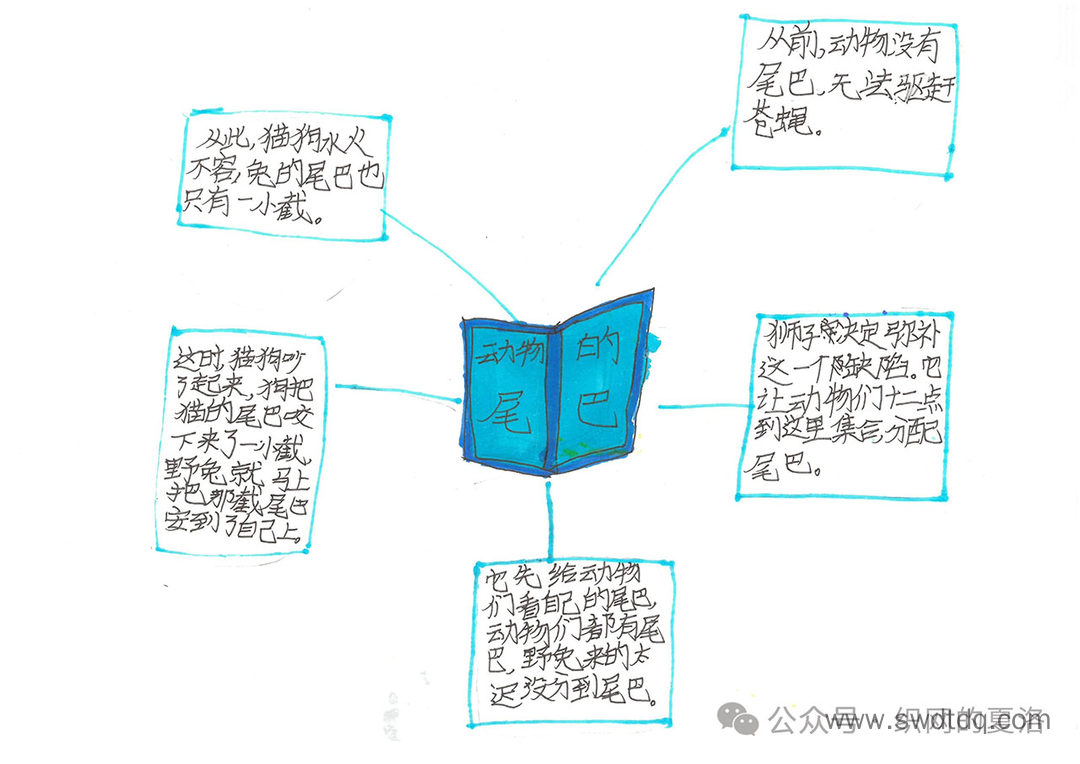 《老人的智慧之<动物的尾巴>》思维导图-第5张