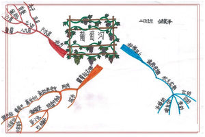 二年级语文《葡萄沟》思维导图习作8张