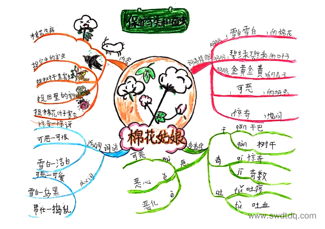 一年级语文课文《棉花姑娘》思维导图