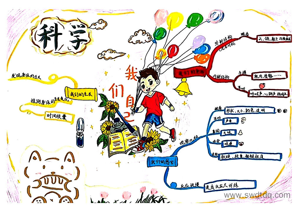 二年级科学思维导图作品-第3张