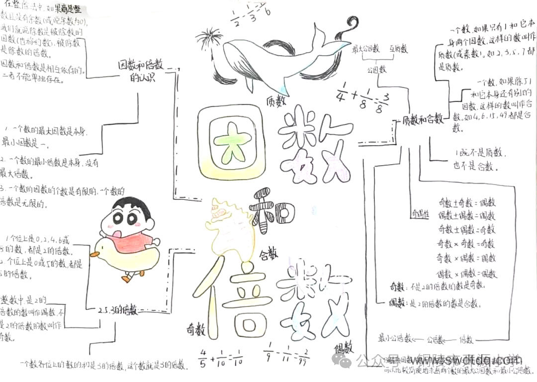 因数和倍数-第4张