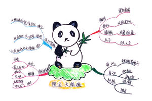 国宝大熊猫基础简介思维导图