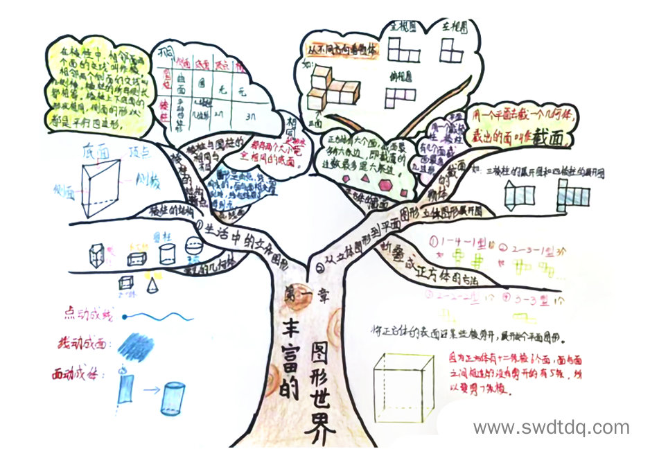 七年级数学第一章：丰富的图形世界思维导图-第2张