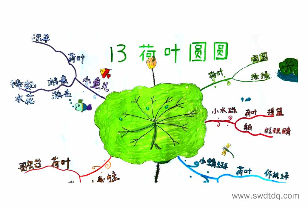 一年级语文课文《荷叶圆圆》课文梳理思维导图-第3张