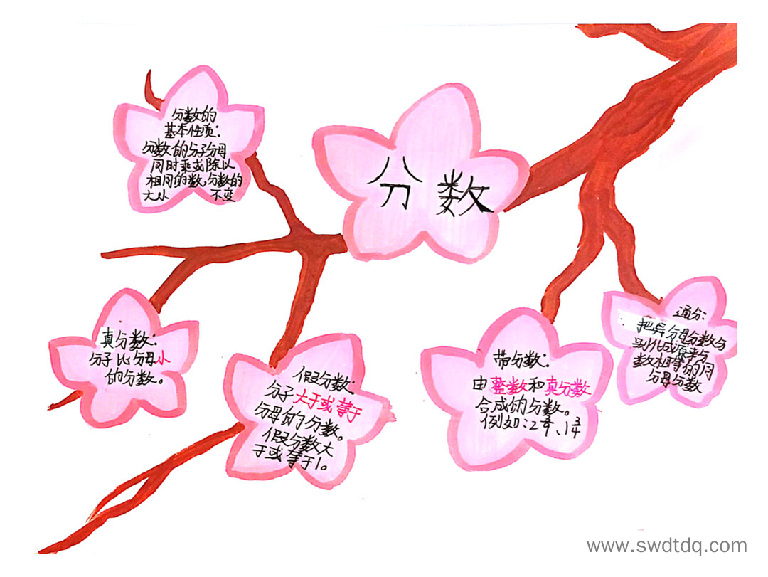 分数的初步认识期末复习思维导图-第2张