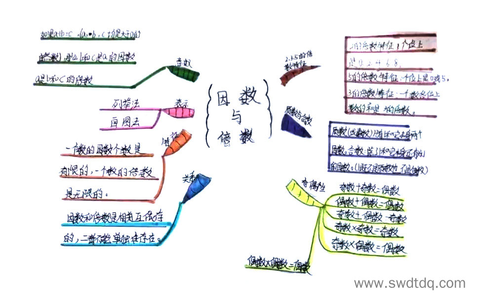 倍数与因数知识梳理思维导图-第1张