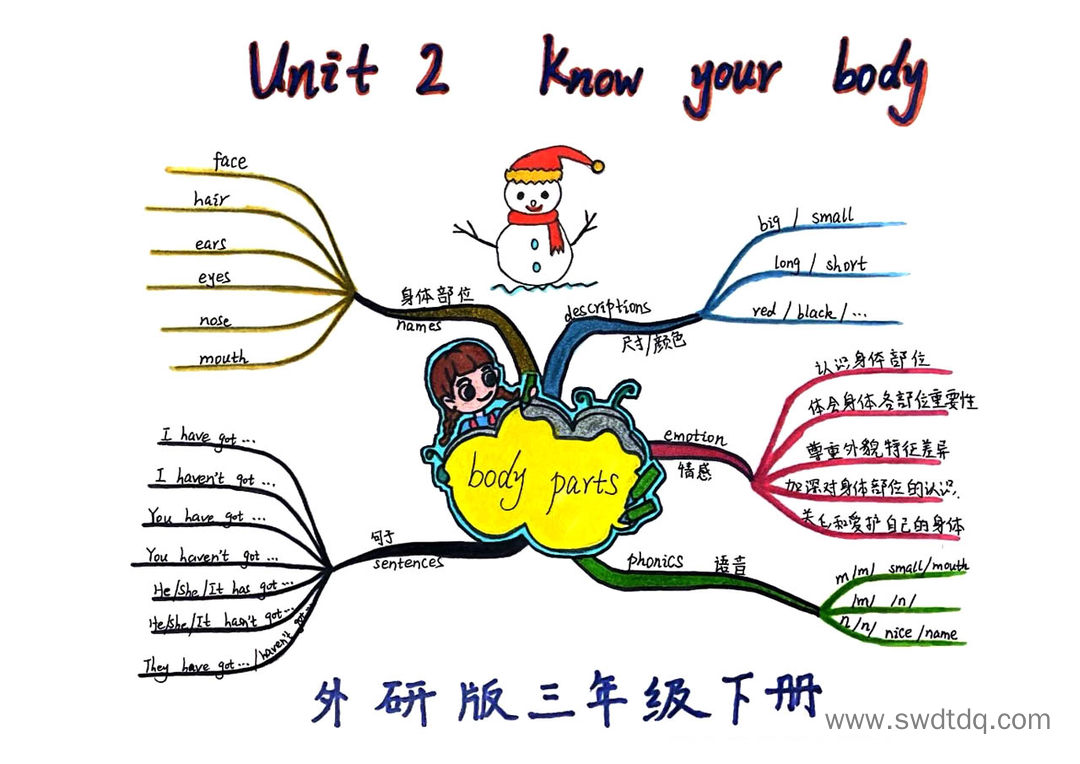 外研三下英语思维导图 unit2-第2张