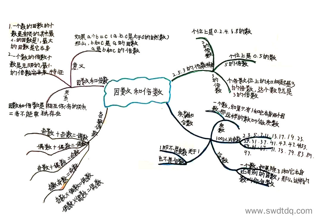 倍数与因数知识梳理思维导图-第2张