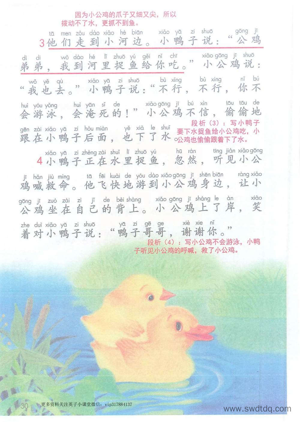 《小公鸡和小鸭子》课堂笔记