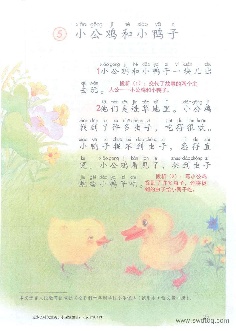 《小公鸡和小鸭子》课堂笔记