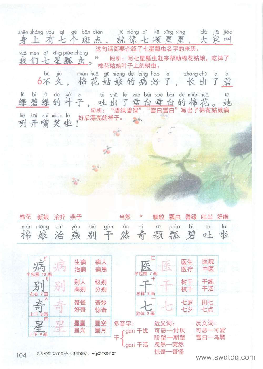 《棉花姑娘》课堂笔记