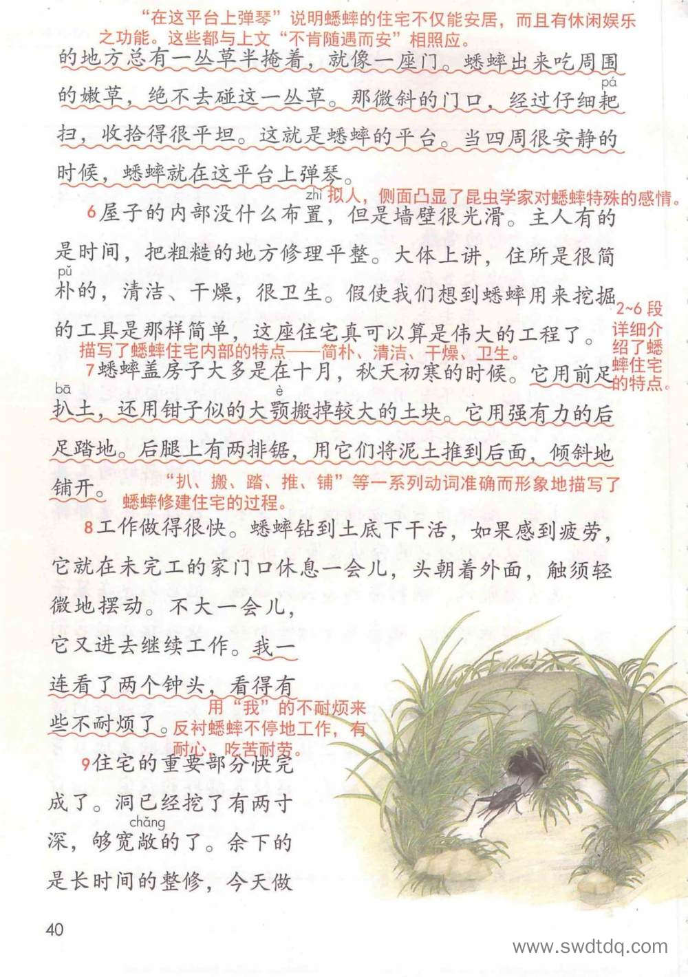 《蟋蟀的住宅》课堂笔记