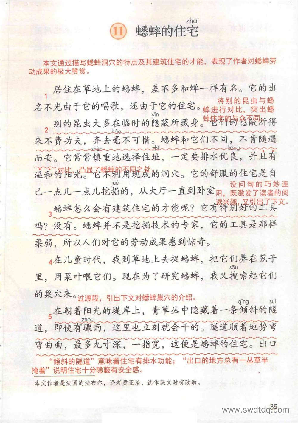 《蟋蟀的住宅》课堂笔记
