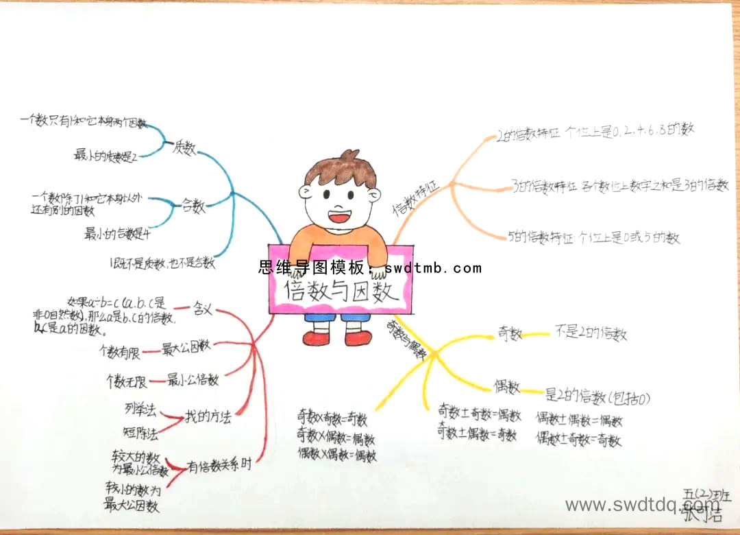 倍数与因数知识点总结思维导图 五年级数学