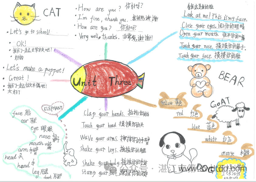 三年级英语unit3思维导图优秀作品（图3）
