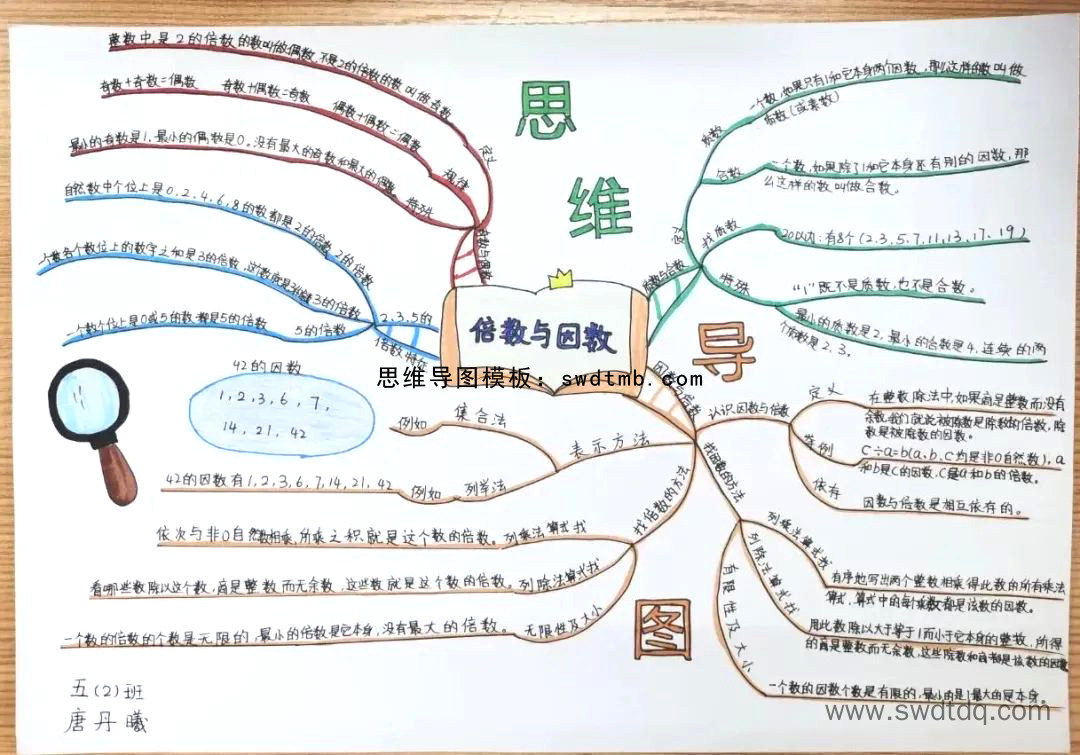 数学知识思维导图 倍数与因数思维导图